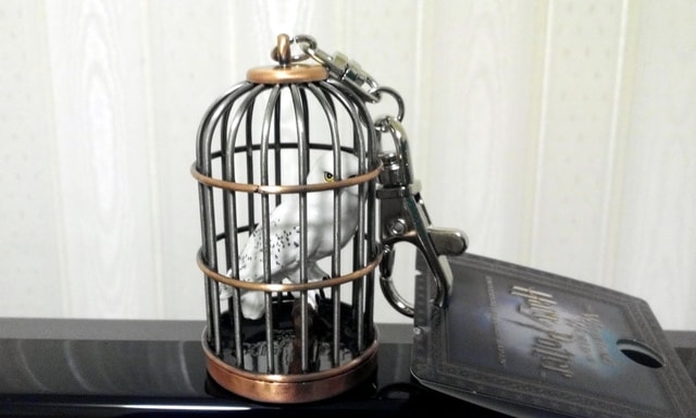 IMG_20150209_210454-1.jpg - 日本關西