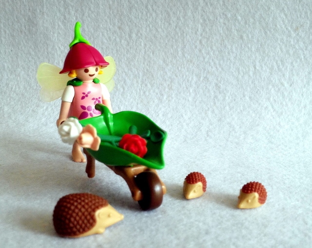 P_20150621_113828-1.jpg - 摩比