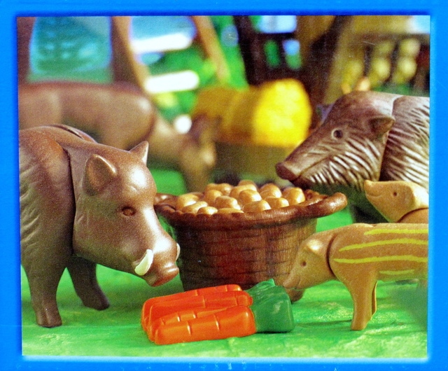 IMG_8600-1.jpg - 摩比