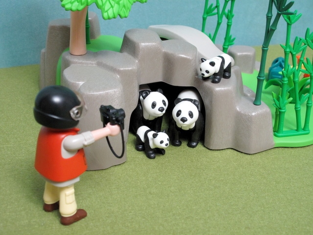 IMG_8507-1.jpg - 摩比