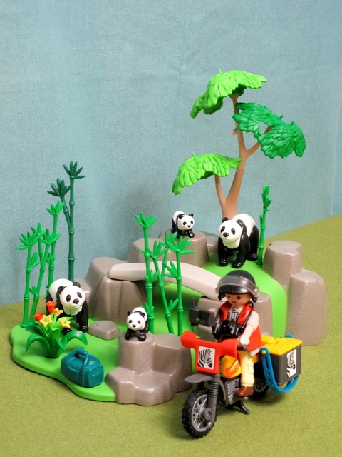 IMG_8498-1.jpg - 摩比