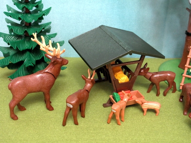 IMG_8621-1.jpg - 摩比