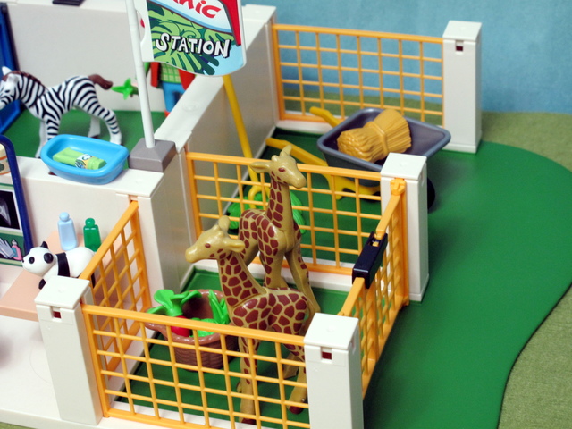 IMG_8992-1.jpg - 摩比