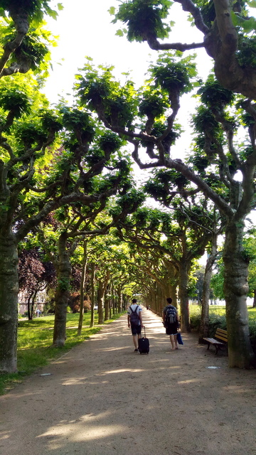 P_20160606_095856-1.jpg - 2016德國之旅