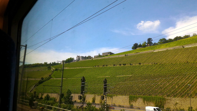 P_20160606_153151-1.jpg - 2016德國之旅