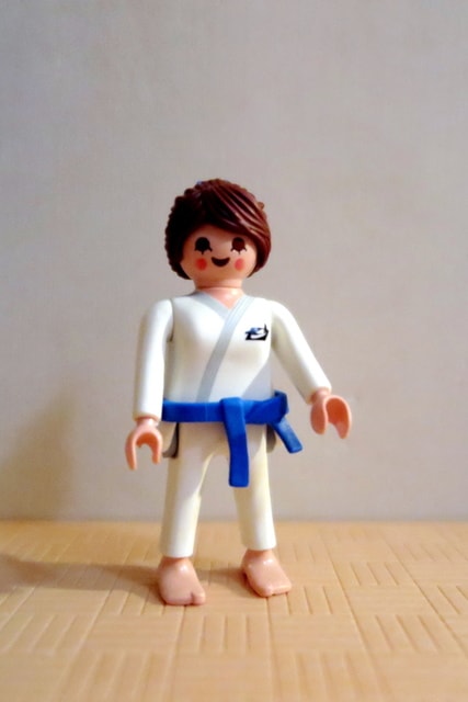 IMG_5033-1.jpg - 摩比